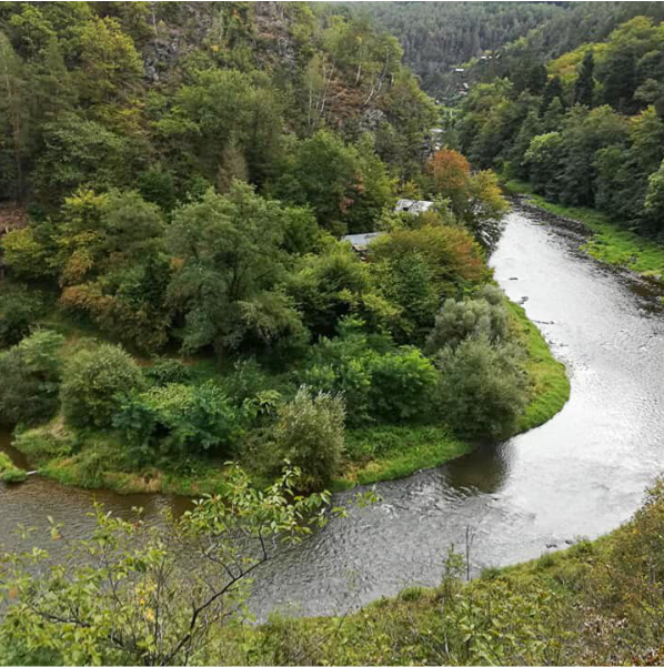 RESTAURACE U ZVONIČKY